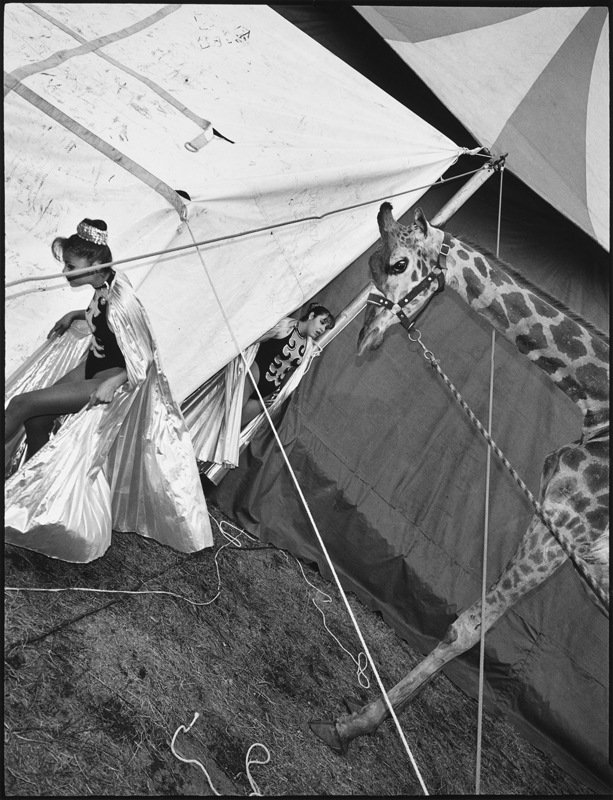 Mary Ellen Mark picture