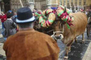 National Geographic Expedition Northern Spain by train with Photo Xpeditions