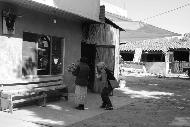 Students at Oaxaca 2014 | Photo Xpeditions