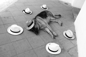 Mary Ellen Mark with Students on workshop Oaxaca | Photo Xpedions